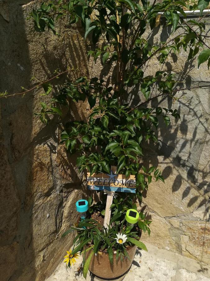 Villa Holly Balchik Exterior foto